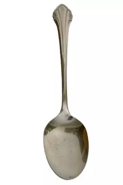 1881 Rogers Bros Vintage Stainless Serving Spoon Repose Floral 8.25"