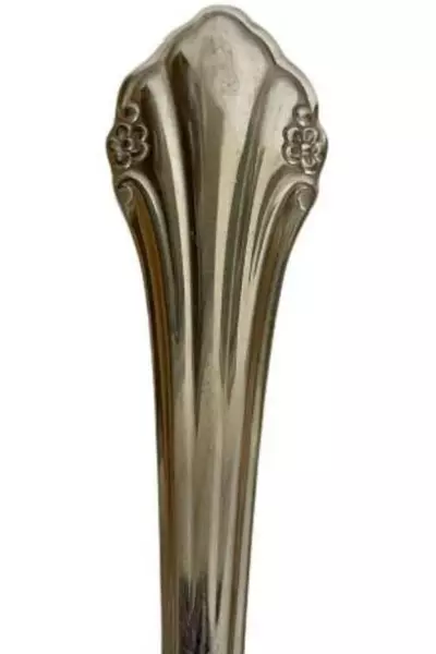1881 Rogers Bros Vintage Stainless Serving Spoon Repose Floral 8.25"