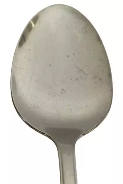 1881 Rogers Bros Vintage Stainless Serving Spoon Repose Floral 8.25"