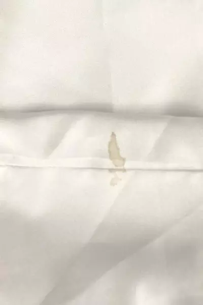 Vintage Orare Women's 2X White Chiffon Sheer Top, Short Sleeves, Stain