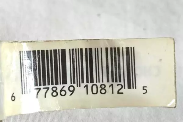 Kid Galaxy Bendable Snowboarder Stinkbug Keychain 4" Multicolor