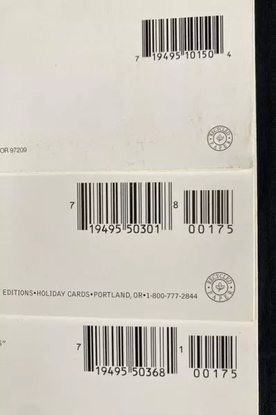 Lot of 3 Susan West Thomas Ocean-Themed Greeting Cards - Litho USA