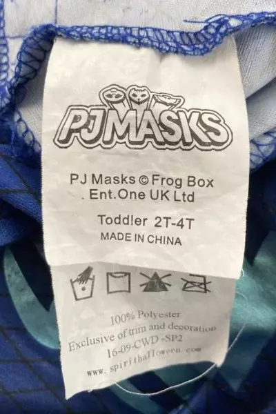 PJ Masks Frog Box Blue Catboy Halloween Costume Toddler 2T 4T Mask And 1 Glove