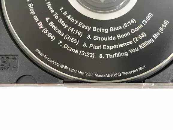 Don Johnson It Ain't Easy Being Blue CD 1995 Good Condition Sold As-Is