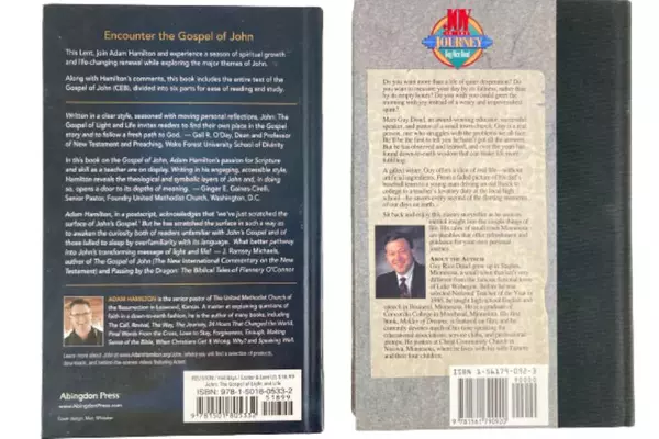 Lot of 2 Books: Joy in the Journey & John The Gospel of Light and Life