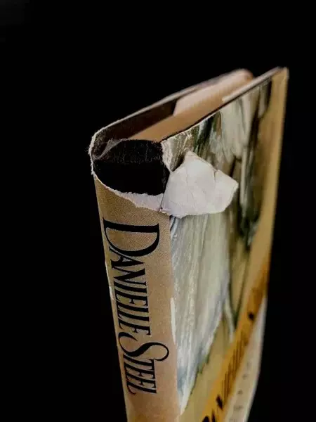 Danielle Steel's Granny Dan Hardcover Book, 1999 - Good Condition