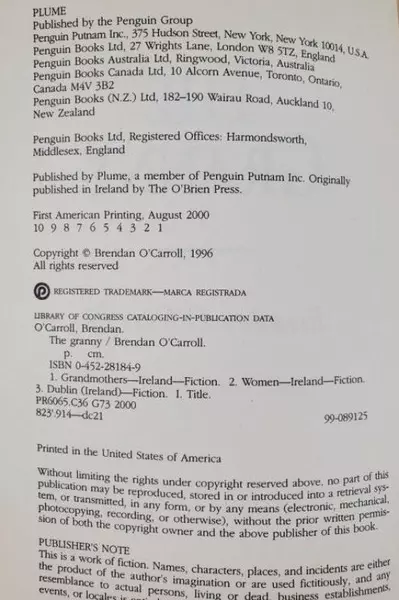 The Granny by Brendan O'Carroll 1996 Vintage Paperback Book - Good Condition