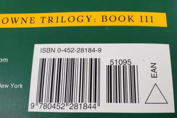The Granny by Brendan O'Carroll 1996 Vintage Paperback Book - Good Condition