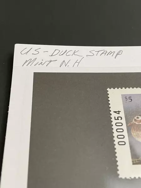 1995 Oregon Duck Stamp Mint Never Hinged Collectible Postal History