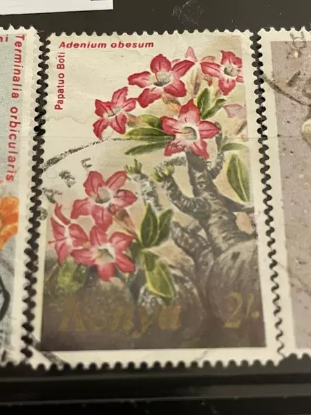 Lot of 17 Used Kenyan Stamps 1960s Gemstones, Shells & Flowers Collection