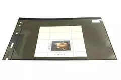 2002 Oregon Waterfowl Duck Stamp Mint Never Hinged Collectible $7.50