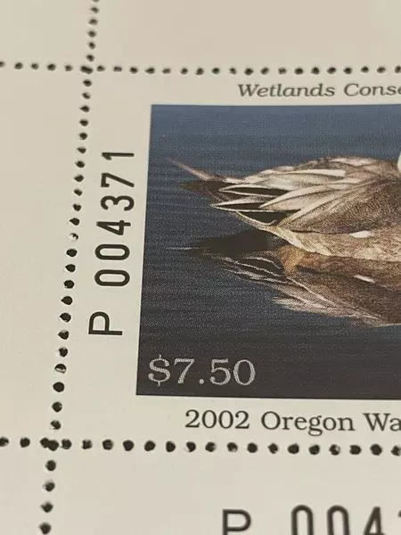 2002 Oregon Waterfowl Duck Stamp Mint Never Hinged Collectible $7.50