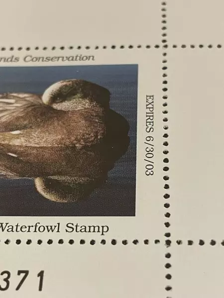 2002 Oregon Waterfowl Duck Stamp Mint Never Hinged Collectible $7.50