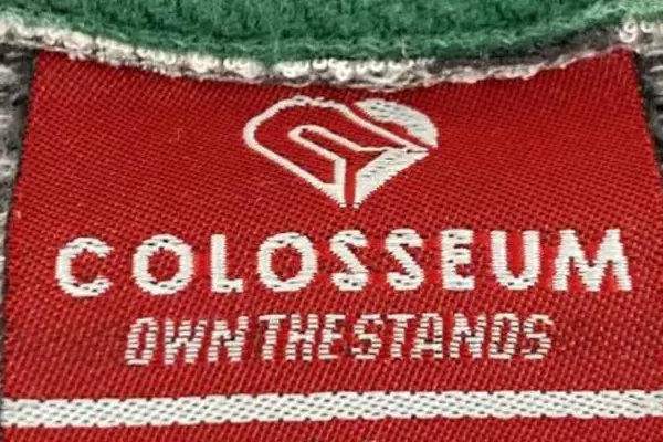 Colosseum Oregon Ducks Women's M Full Zip Jacket Blue White Stripes EUC