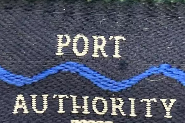 Port Authority Blue Fleece Vest US Forest Service Unisex Size L - Good Condition