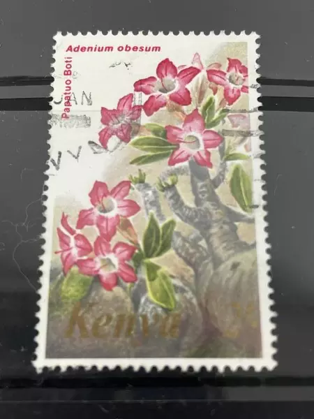 Lot of 18 Used 1970s Kenya Stamps - Flowers, Shells, Butterflies, Very Fine