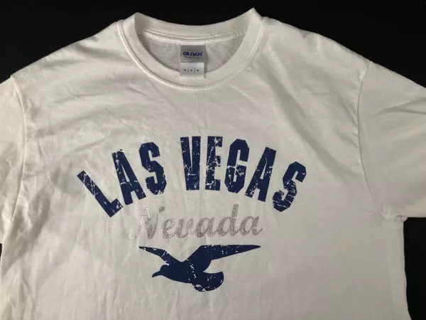 Gildan Las Vegas T-Shirt Men's M White Blue Seagull Graphic Souvenir