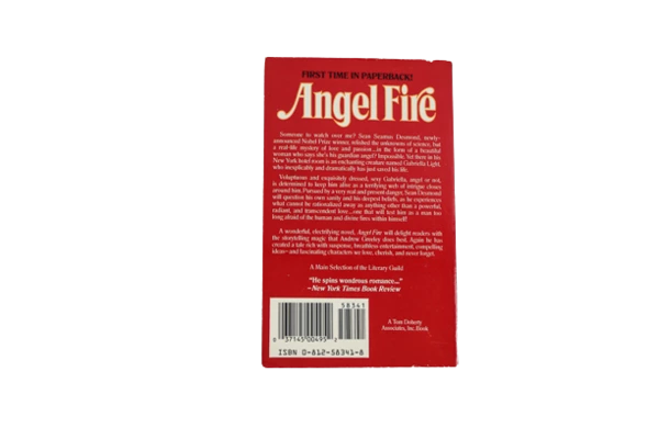 Andrew M. Greeley Angel Fire Paperback Novel 1989 Tor Books Good Condition