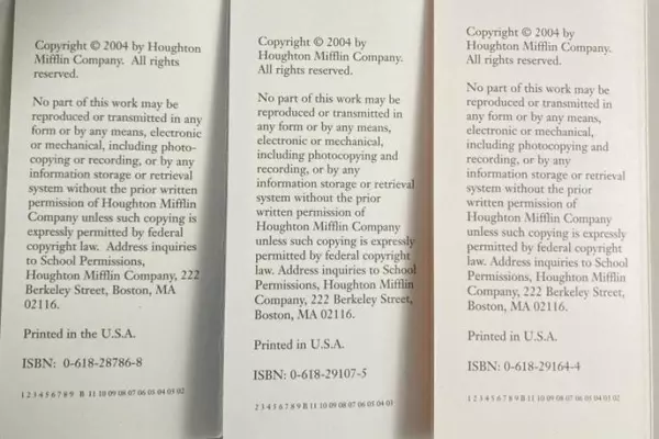 Vtg Lot of 6 Houghton Mifflin Leveled Readers Books Pre-Owned Condition