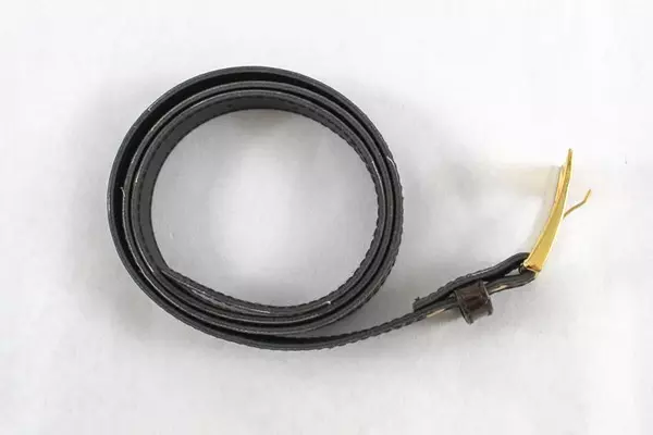 Vintage Women's Size 16 Faux Leather Reptile Belt with Gold Buckle 40" Long