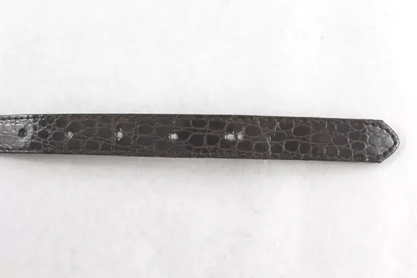 Vintage Women's Size 16 Faux Leather Reptile Belt with Gold Buckle 40" Long