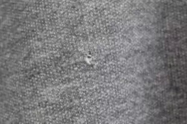 Mai Soli Women's L Large Slate Blue Ribbed Turtleneck Sweater - Pre-owned