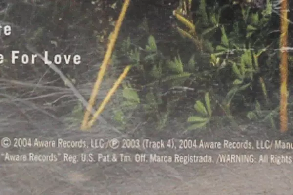 Five For Fighting The Battle For Everything CD 2004 Cracked Case As Is