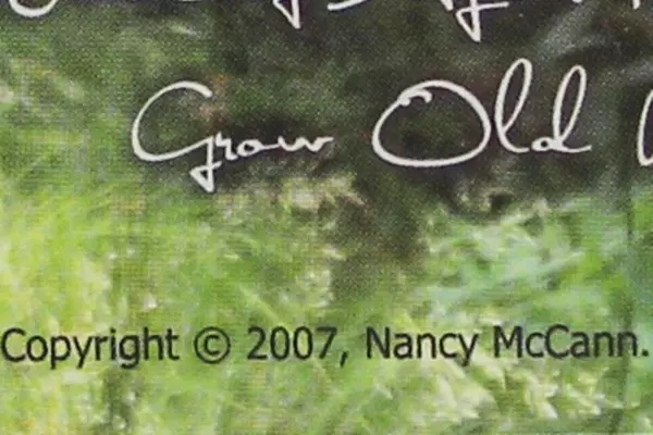 Further Up The Creek by Nancy McCann CD 2007 - Pre-owned Music Collection