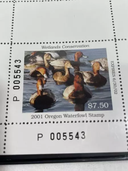 2001 Oregon Waterfowl Stamp MNH Duck Stamp Collectible - Wildlife Art