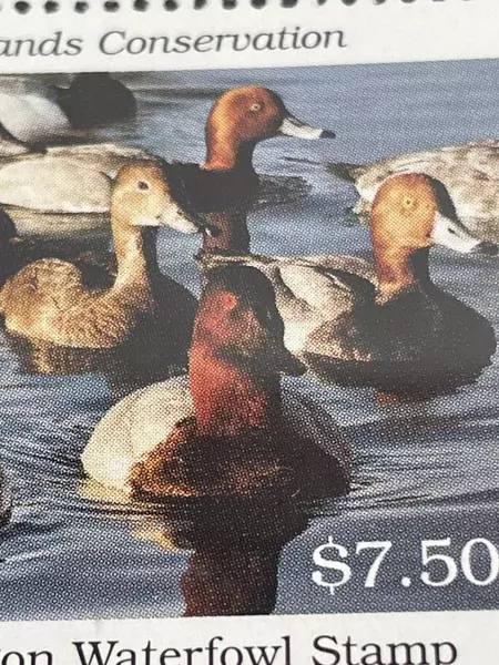 2001 Oregon Waterfowl Stamp MNH Duck Stamp Collectible - Wildlife Art