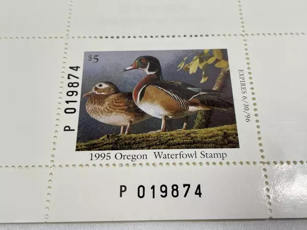 1995 Oregon Waterfowl Stamp Mint Never Hinged with Stains Duck Stamp Collectible