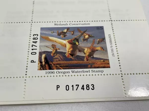 1996 Oregon Waterfowl Stamp Mint Never Hinged - Great for Collectors!