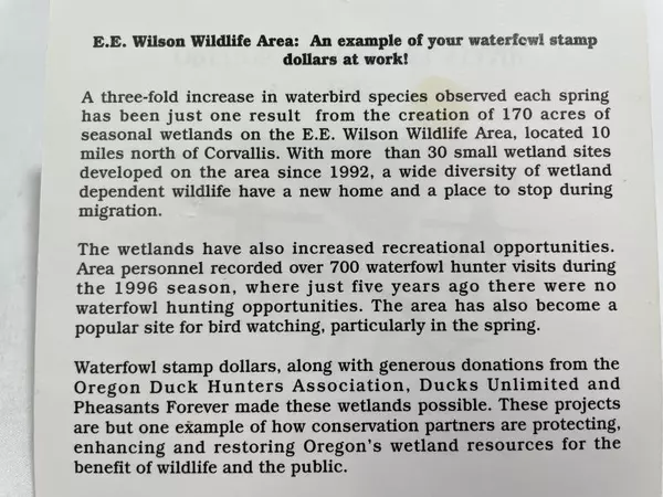 1997 Oregon Waterfowl Stamp Mint Never Hinged US Duck Stamp Collectible