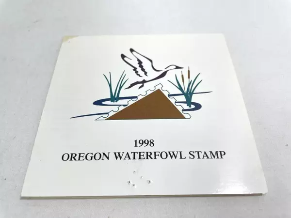 1998 Oregon Waterfowl Stamp Mint NH - Rare Collectible Duck Stamp