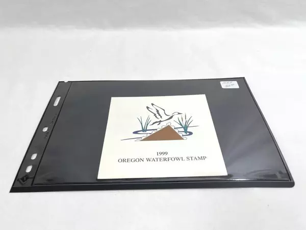 1999 Oregon Waterfowl Stamp Mint Never Hinged Duck Stamp for Collectors