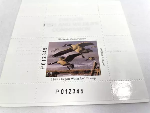 1999 Oregon Waterfowl Stamp Mint Never Hinged Duck Stamp for Collectors