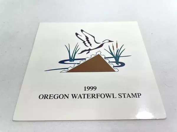 1999 Oregon Waterfowl Stamp Mint Never Hinged Duck Stamp for Collectors