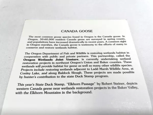 1999 Oregon Waterfowl Stamp Mint Never Hinged Duck Stamp for Collectors