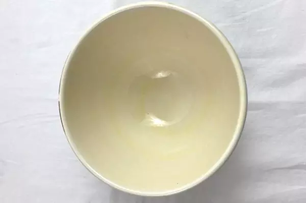 Pier 1 Hand Painted Earthenware Bowl Cream Fruit Pattern Italy 6.5"