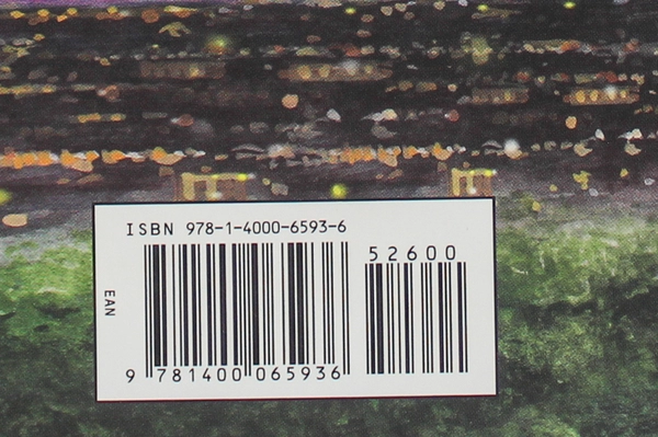 Fannie Flagg I Still Dream About You Hardcover Book 2010 Pre-Owned