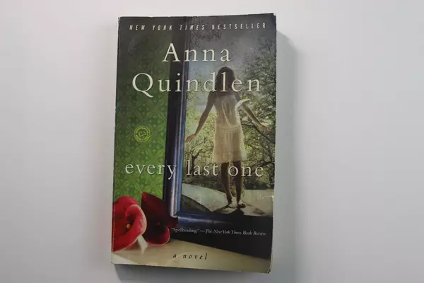 Anna Quindlen Every Last One Paperback Novel 2010 - Pre-Owned Book