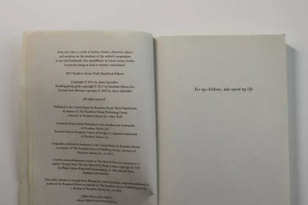 Anna Quindlen Every Last One Paperback Novel 2010 - Pre-Owned Book