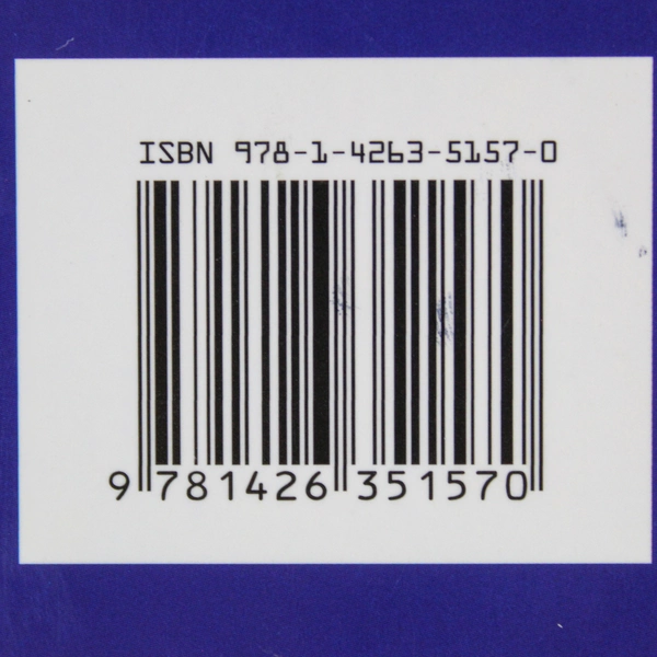 Electricity at School by Rita Mullick National Geographic PB 2007