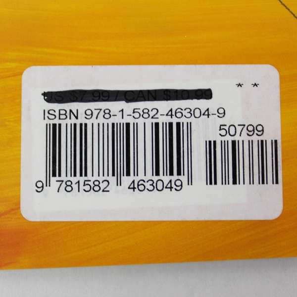 A Chance to Shine by Steve Seskin Paperback Book 2006 Good Condition