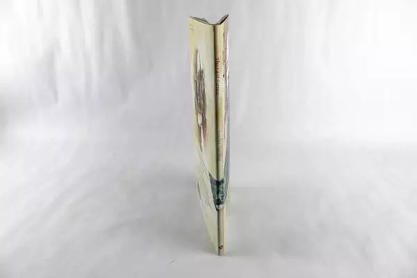 The Last Dance by Carmen Agra Deedy HC Book 2013 - Good Condition