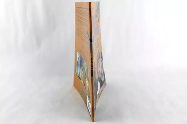 Ryan and Jimmy by Herb Shoveller Kids Can Press Paperback Book 2006