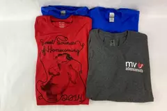 Lot of 4 Men's XL T-Shirts Gildan Hanes Port & Company Blue Red Gray