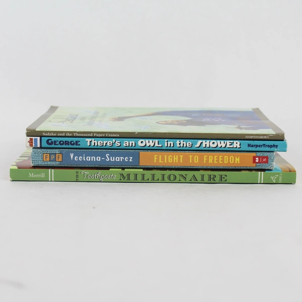 Lot of 4 Scholastic Children's Chapter Books - Good Condition