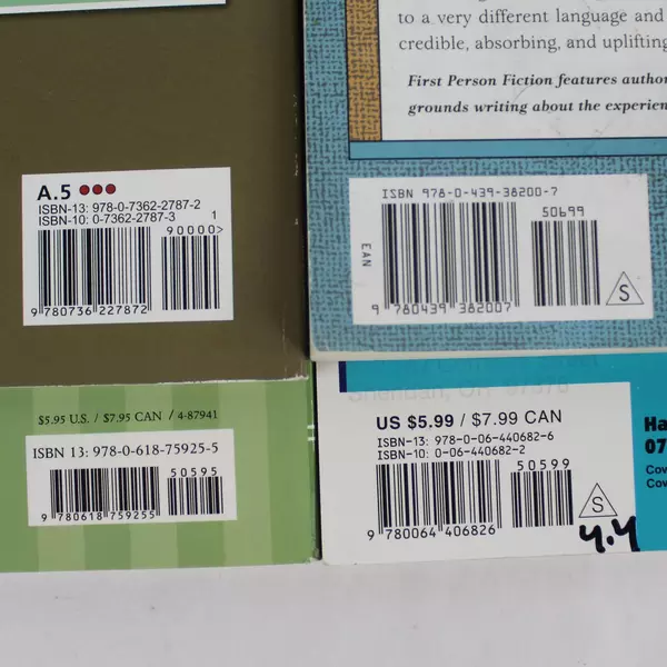 Lot of 4 Scholastic Children's Chapter Books - Good Condition