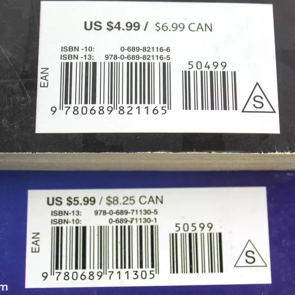 Lot of 2 Children's Books: Survival! Flood & Journey to America PB